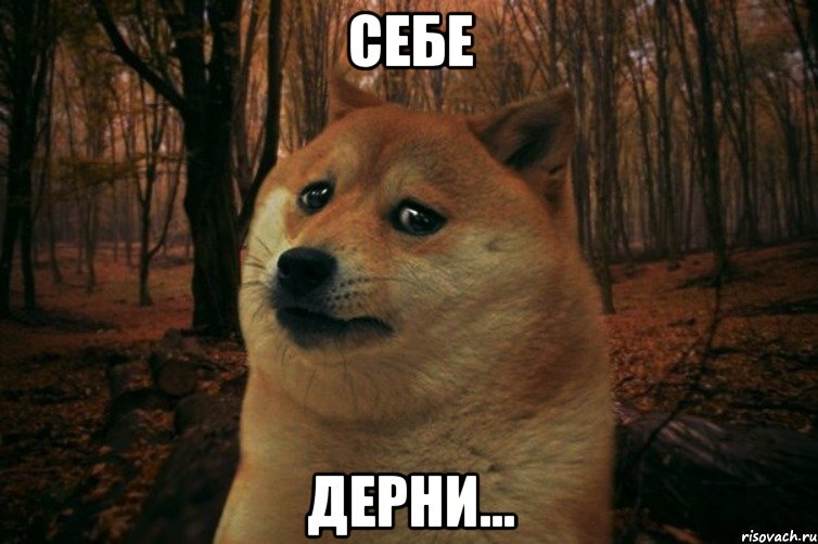 себе дерни..., Мем SAD DOGE