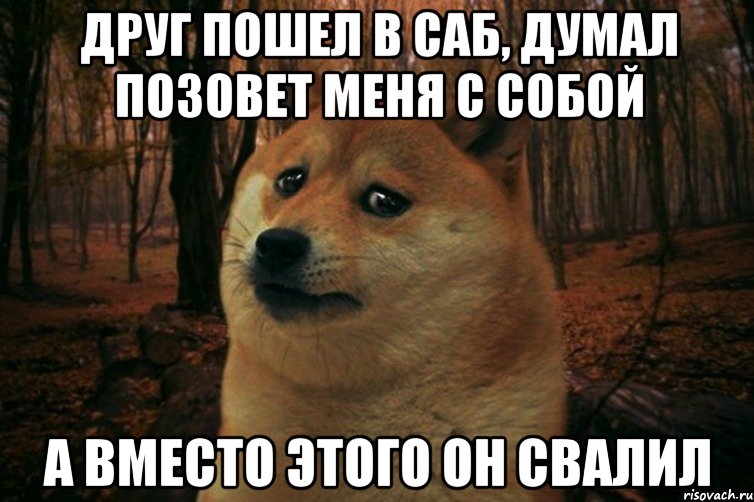 друг пошел в саб, думал позовет меня с собой а вместо этого он свалил, Мем SAD DOGE