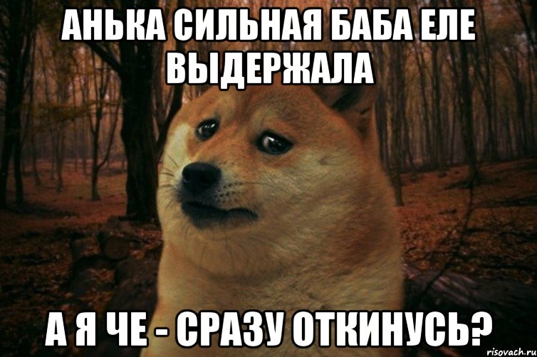 анька сильная баба еле выдержала а я че - сразу откинусь?, Мем SAD DOGE