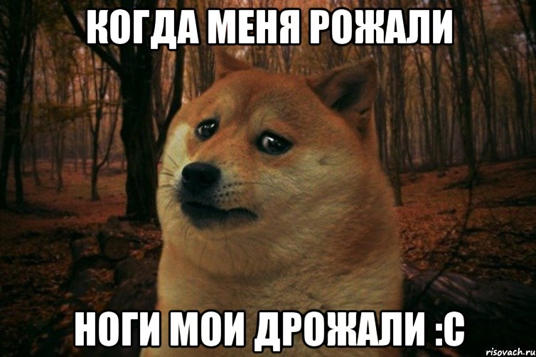 Когда меня рожали Ноги мои дрожали :с, Мем SAD DOGE