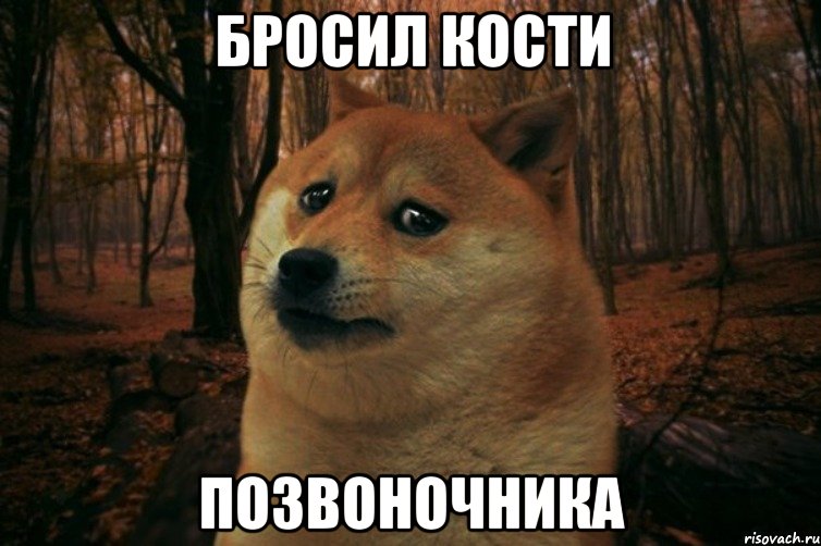 Бросил кости Позвоночника, Мем SAD DOGE