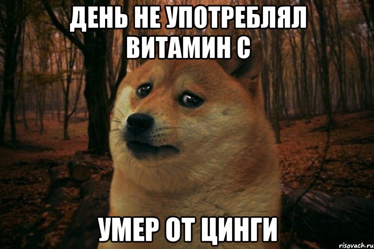 День не употреблял витамин C Умер от цинги, Мем SAD DOGE