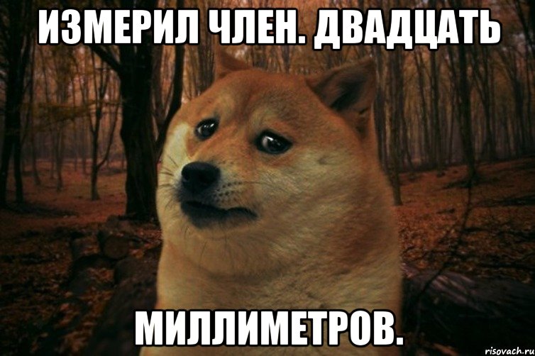 Измерил член. Двадцать миллиметров., Мем SAD DOGE