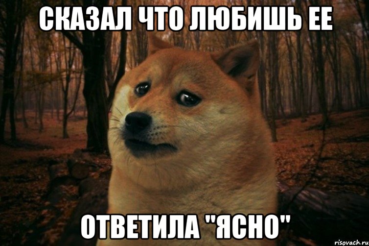 сказал что любишь ее ответила "ясно", Мем SAD DOGE