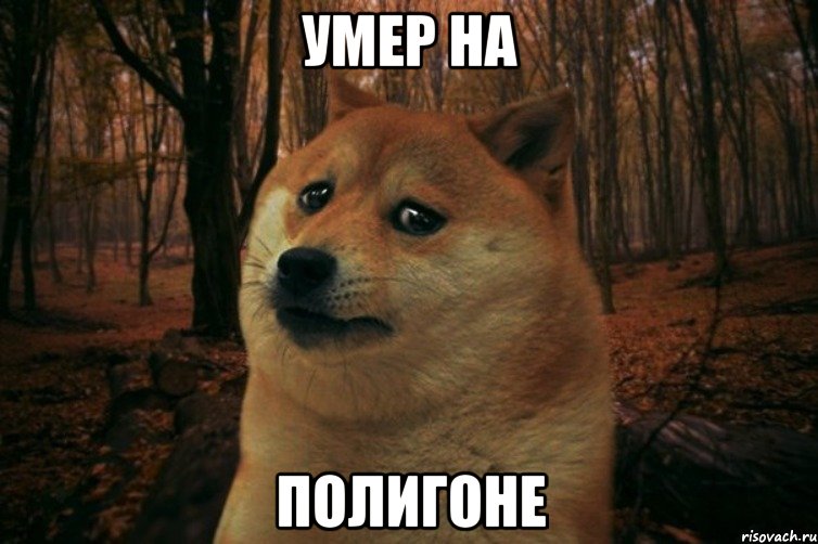 Умер На Полигоне, Мем SAD DOGE