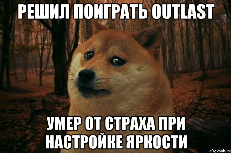 Решил поиграть OUTLAST умер от страха при настройке яркости, Мем SAD DOGE