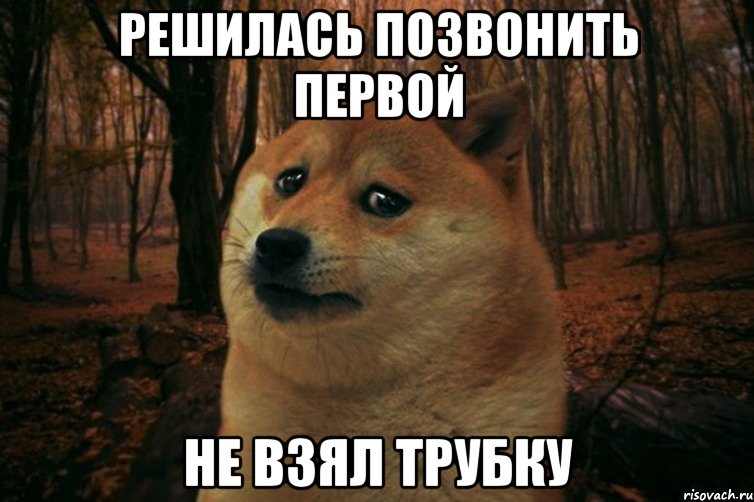 Решилась позвонить первой Не взял трубку, Мем SAD DOGE