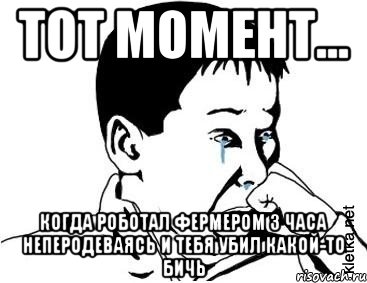 Тот момент... Когда роботал фермером 3 часа неперодеваясь и тебя убил какой-то бичь, Мем сашок