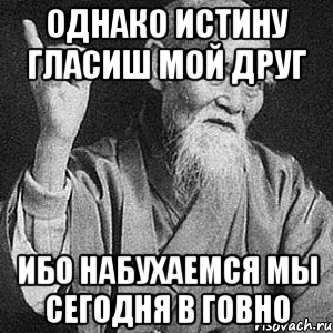 Однако истину гласиш мой друг Ибо набухаемся мы сегодня в говно, Мем Монах-мудрец (сэнсей)