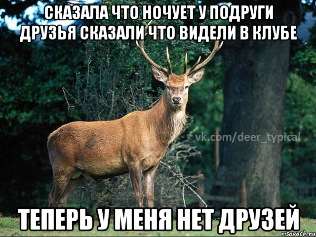 Сказала что ночует у подруги Друзья сказали что видели в клубе Теперь у меня нет друзей, Мем Паблик Типичный олень