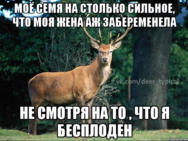 МОЁ СЕМЯ НА СТОЛЬКО СИЛЬНОЕ, ЧТО МОЯ ЖЕНА АЖ ЗАБЕРЕМЕНЕЛА НЕ СМОТРЯ НА ТО , ЧТО Я БЕСПЛОДЕН, Мем Паблик Типичный олень