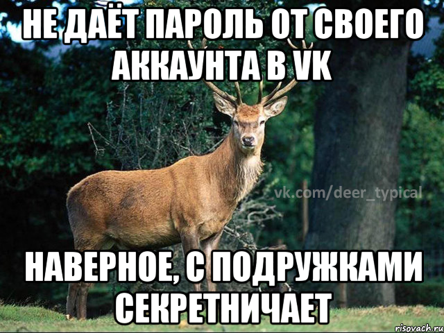 НЕ ДАЁТ ПАРОЛЬ ОТ СВОЕГО АККАУНТА В VK НАВЕРНОЕ, С ПОДРУЖКАМИ СЕКРЕТНИЧАЕТ