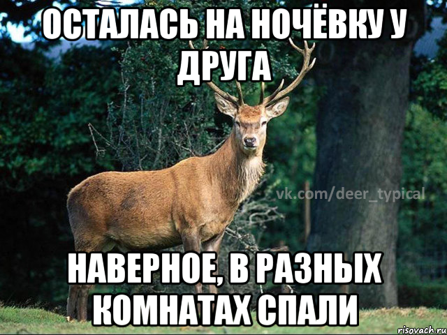 осталась на ночёвку у друга наверное, в разных комнатах спали