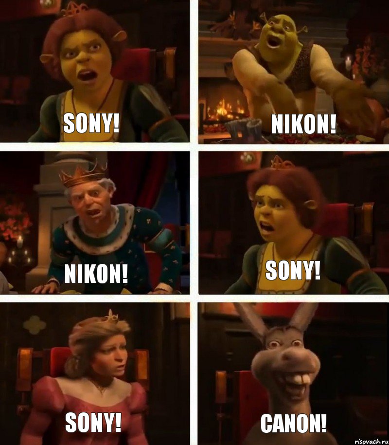 Sony! Nikon! Sony! Nikon! Sony! Canon!, Комикс  Шрек Фиона Гарольд Осел