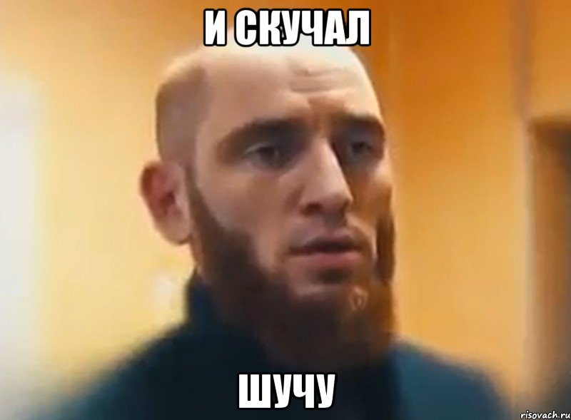 и скучал шучу, Мем Шучу