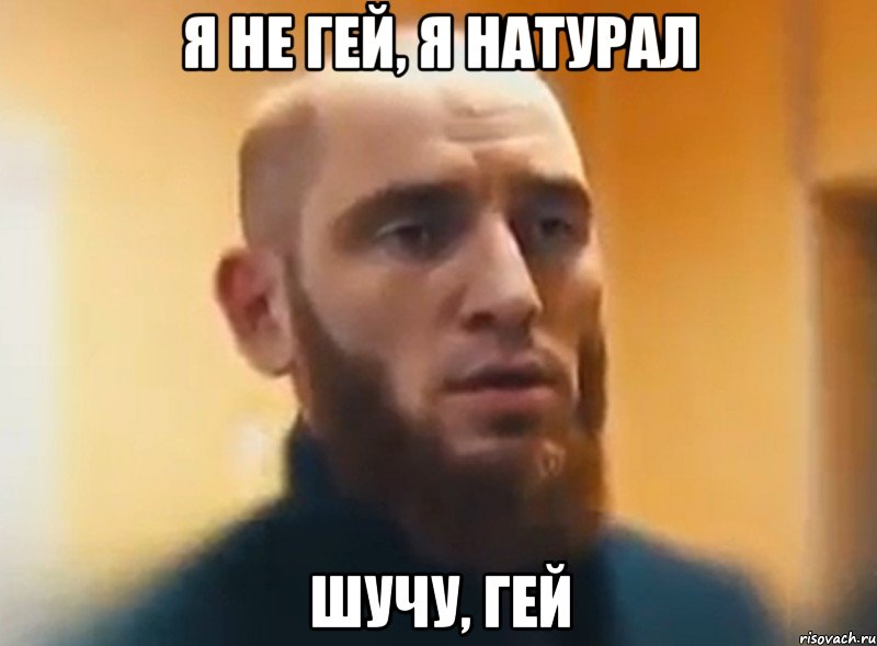 Я НЕ ГЕЙ, Я НАТУРАЛ ШУЧУ, ГЕЙ, Мем Шучу