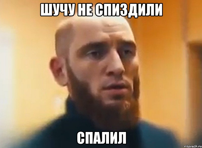 Шучу не спиздили СПАЛИЛ, Мем Шучу