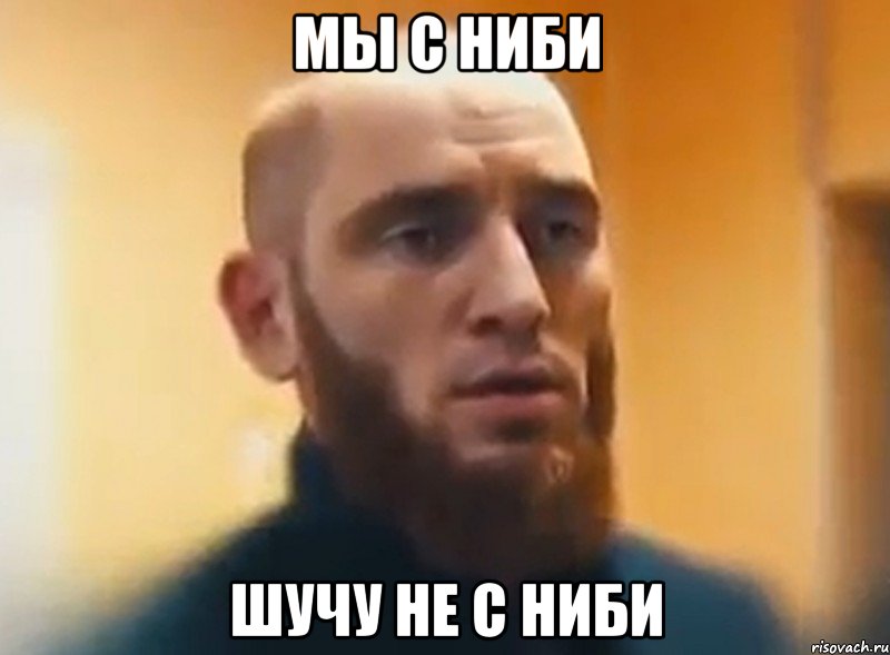 мы с ниби шучу не с ниби, Мем Шучу