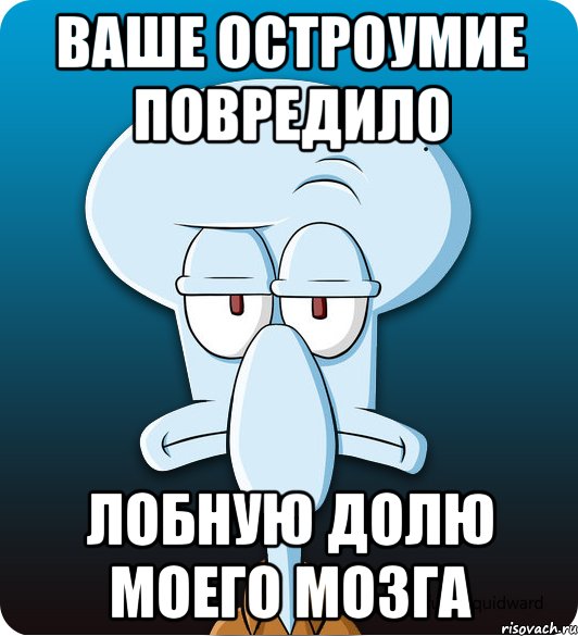 Ваше остроумие повредило лобную долю моего мозга, Мем Сквидвард