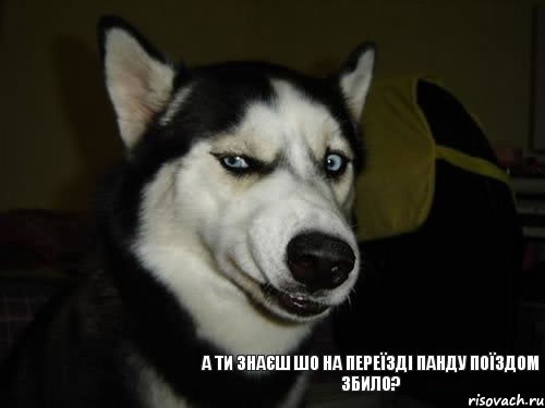 А ти знаєш шо на переїзді Панду поїздом збило?, Комикс  Собака подозревака