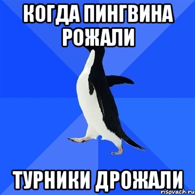 Когда пингвина рожали Турники дрожали, Мем  Социально-неуклюжий пингвин