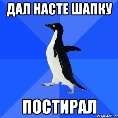 Дал Насте шапку постирал, Мем  Социально-неуклюжий пингвин