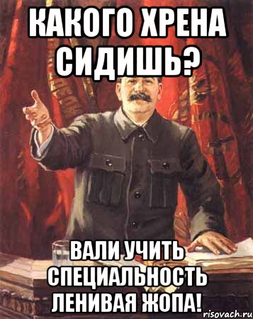 Какого хрена сидишь? Вали учить специальность ленивая жопа!, Мем  сталин цветной