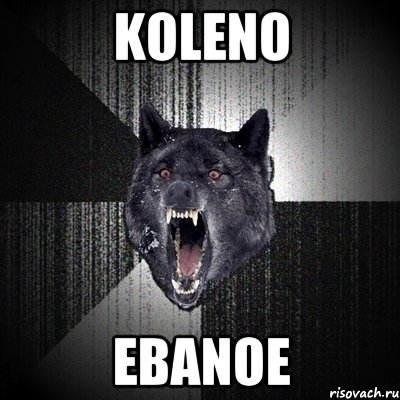 KOLENO EBANOE, Мем Сумасшедший волк