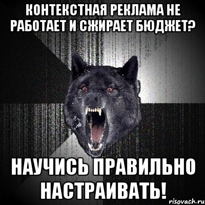 Контекстная реклама не работает и сжирает бюджет? Научись правильно настраивать!, Мем Сумасшедший волк