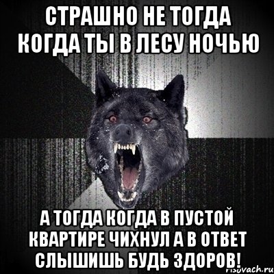 страшно не тогда когда ты в лесу ночью а тогда когда в пустой квартире чихнул а в ответ слышишь будь здоров!, Мем Сумасшедший волк