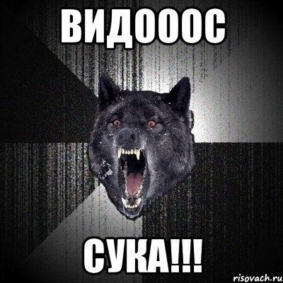 Видооос Сука!!!, Мем Сумасшедший волк