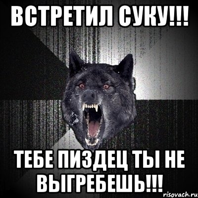 Встретил суку!!! тебе ПИЗДЕЦ ты не выгребешь!!!, Мем Сумасшедший волк