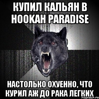 купил кальян в Hookah Paradise настолько охуенно, что курил аж до рака легких, Мем Сумасшедший волк