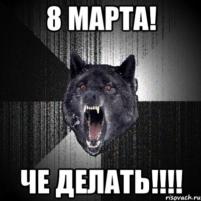 8 МАРТА! ЧЕ ДЕЛАТЬ!!!!, Мем Сумасшедший волк