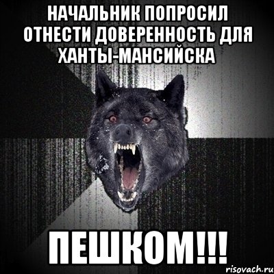 Начальник попросил отнести доверенность для Ханты-Мансийска ПЕШКОМ!!!, Мем Сумасшедший волк