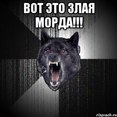 вот это злая морда!!! , Мем Сумасшедший волк