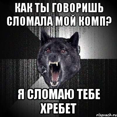 как ты говоришь сломала мой комп? я сломаю тебе хребет, Мем Сумасшедший волк