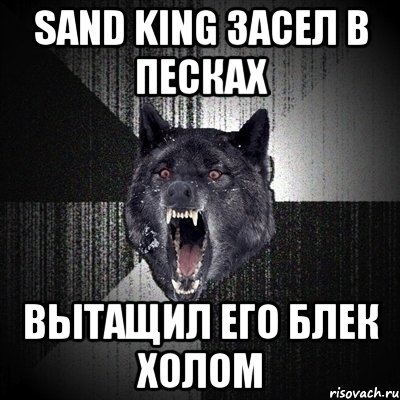 SAND KING ЗАСЕЛ В ПЕСКАХ ВЫТАЩИЛ ЕГО БЛЕК ХОЛОМ, Мем Сумасшедший волк