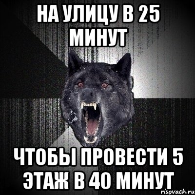 На улицу в 25 минут Чтобы провести 5 этаж в 40 минут, Мем Сумасшедший волк