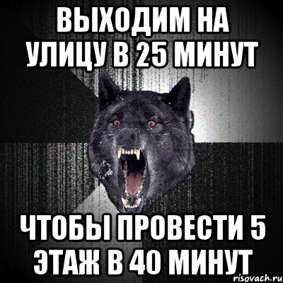 Выходим на улицу в 25 минут Чтобы провести 5 этаж в 40 минут, Мем Сумасшедший волк