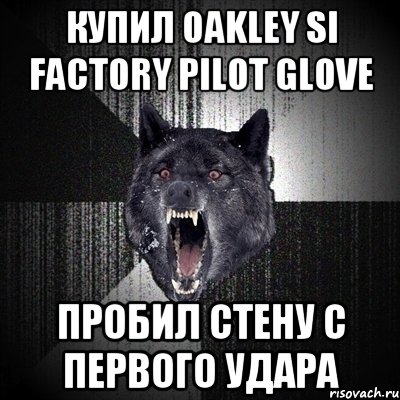 Купил oakley SI factory pilot glove пробил стену с первого удара, Мем Сумасшедший волк