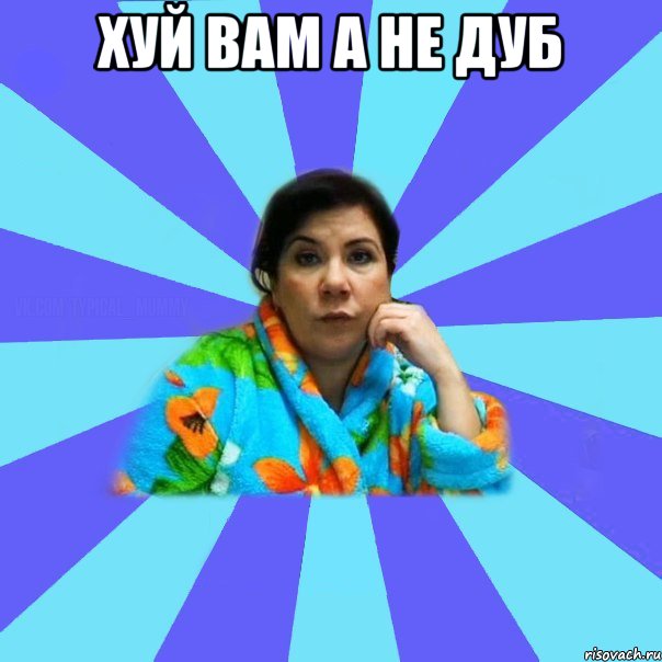 Хуй вам а не дуб , Мем типичная мама