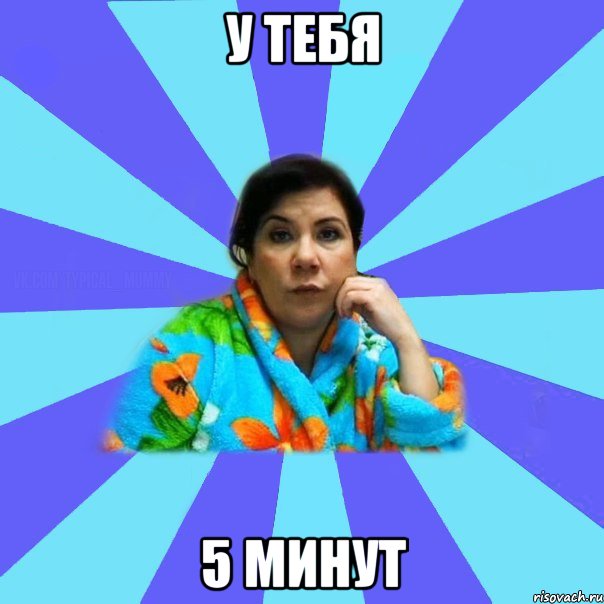 у тебя 5 минут, Мем типичная мама