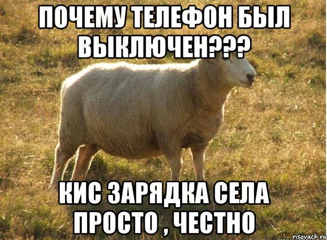 почему телефон был выключен??? кис зарядка села просто , честно, Мем Типичная овца