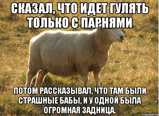 Сказал, что идет гулять только с парнями Потом рассказывал, что там были страшные бабы, и у одной была огромная задница., Мем Типичная овца