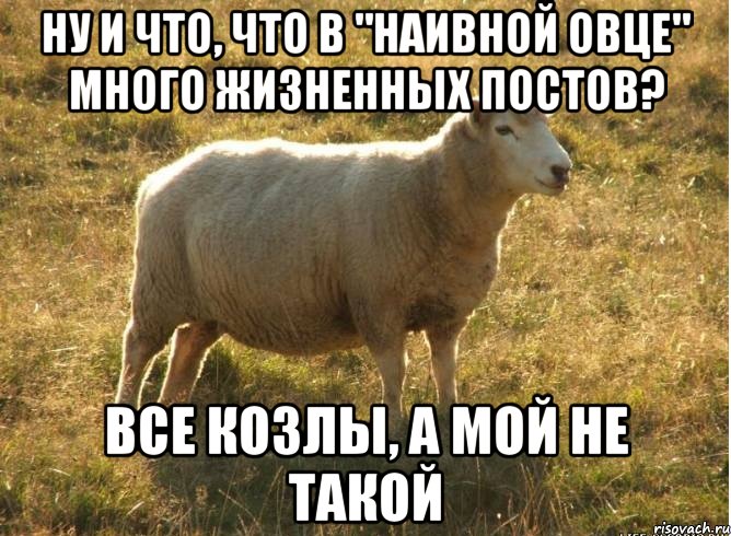 Ну и что, что в "наивной овце" много жизненных постов? Все козлы, а мой не такой, Мем Типичная овца