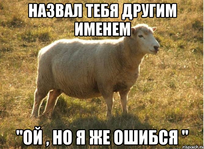 Назвал тебя другим именем "ОЙ , но я же ошибся ", Мем Типичная овца