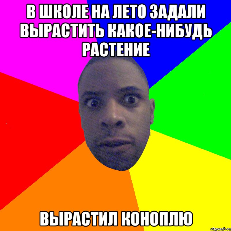 В ШКОЛЕ НА ЛЕТО ЗАДАЛИ ВЫРАСТИТЬ КАКОЕ-НИБУДЬ РАСТЕНИЕ ВЫРАСТИЛ КОНОПЛЮ, Мем  Типичный Негр