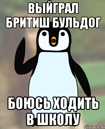 ВЫЙГРАЛ БРИТИШ БУЛЬДОГ БОЮСЬ ХОДИТЬ В ШКОЛУ, Мем Типичный олимпиадник