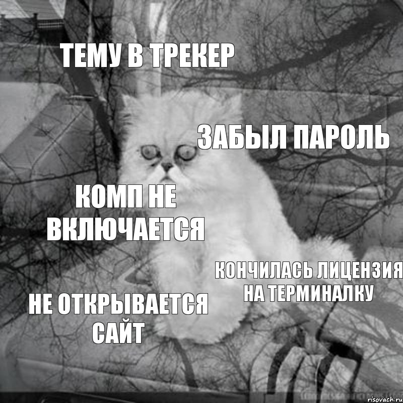 тему в трекер забыл пароль комп не включается кончилась лицензия на терминалку не открывается сайт, Комикс  кот безысходность